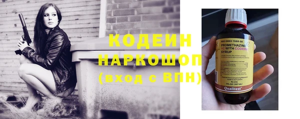 гашик Карпинск