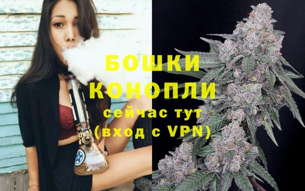 гашик Карпинск