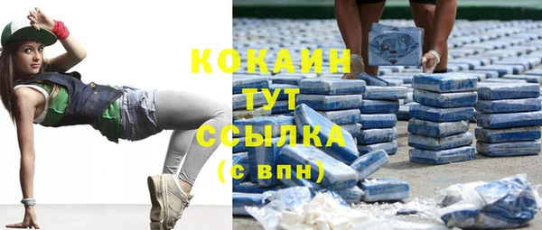 дживик Касимов