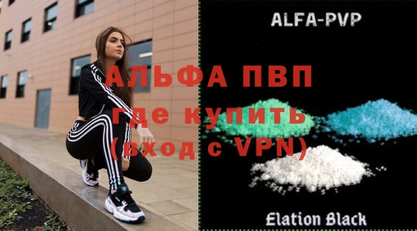 гашик Карпинск