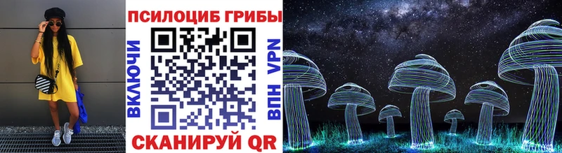 Псилоцибиновые грибы Psilocybine cubensis  Купить закладки  Бирюч 